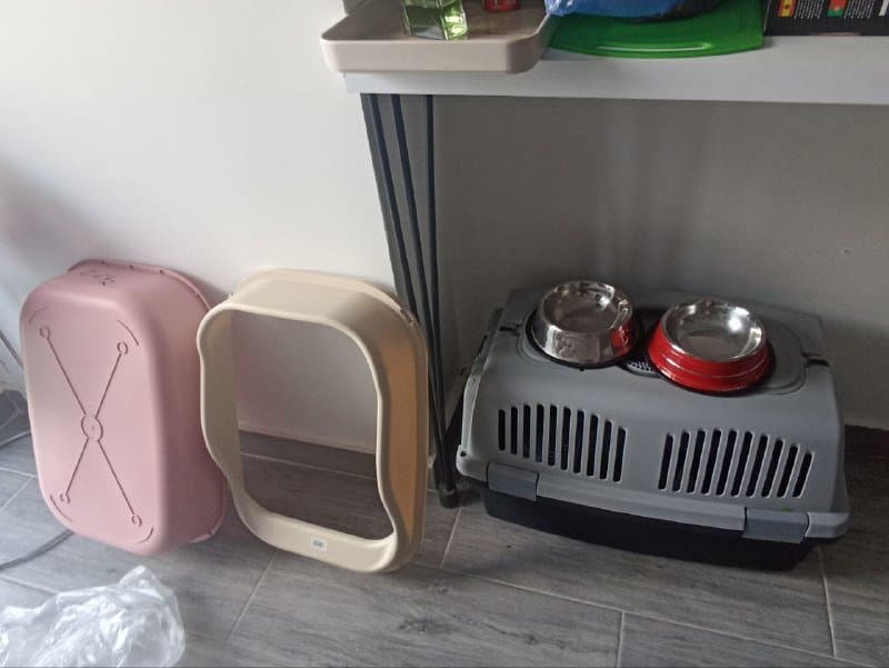 ΠΠ΅ΡΠ΅Π½ΠΎΡΠΊΠ° Π΄Π»Ρ ΠΆΠΈΠ²ΠΎΡΠ½ΡΡ
, Π»ΠΎΡΠΎΠΊ, Π»ΠΎΠΏΠ°ΡΠΊΠ° Π΄Π»Ρ Π»ΠΎΡΠΊΠ° ΠΈ ΠΌΠΈΡΠΊΠΈ