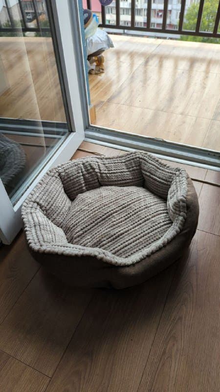 ΠΠ΅ΠΆΠ°Π½ΠΊΠ° Π΄Π»Ρ ΠΊΠΎΡΠΊΠΈ ΠΈΠ»ΠΈ Π½Π΅Π±ΠΎΠ»ΡΡΠΎΠΉ ΡΠΎΠ±Π°ΠΊΠΈ