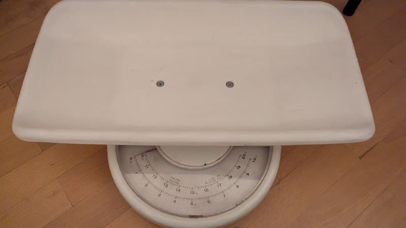 ΠΠ΅ΡΡ Π΄Π΅ΡΡΠΊΠΈΠ΅ Π΄Π»Ρ Π΄Π΅ΡΠ΅ΠΉ ΠΈ ΠΏΠΈΡΠΎΠΌΡΠ΅Π² Π΄ΠΎ 20 ΠΊΠ³