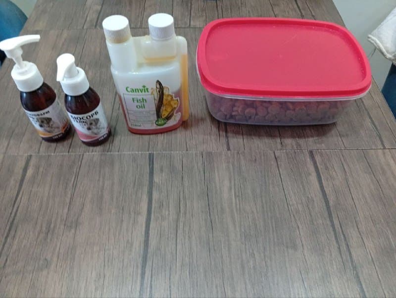 ΠΠΎΡΠΌ ΠΠΊΠ°Π½Π° Ρ ΡΠ³Π½Π΅Π½ΠΊΠΎΠΌ, Π³Π΅ΠΏΠ°ΡΠΎΠΏΡΠΎΡΠ΅ΠΊΡΠΎΡ, Π±ΠΈΠΎΡΠΎΡΠ±, ΡΡΠ±ΠΈΠΉ ΠΆΠΈΡ Π΄Π»Ρ ΡΠΎΠ±Π°ΠΊ