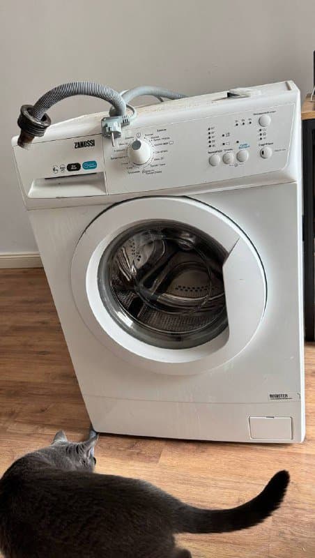 Π‘ΡΠΈΡΠ°Π»ΡΠ½Π°Ρ ΠΌΠ°ΡΠΈΠ½Π° Zanussi 6 ΠΊΠ³